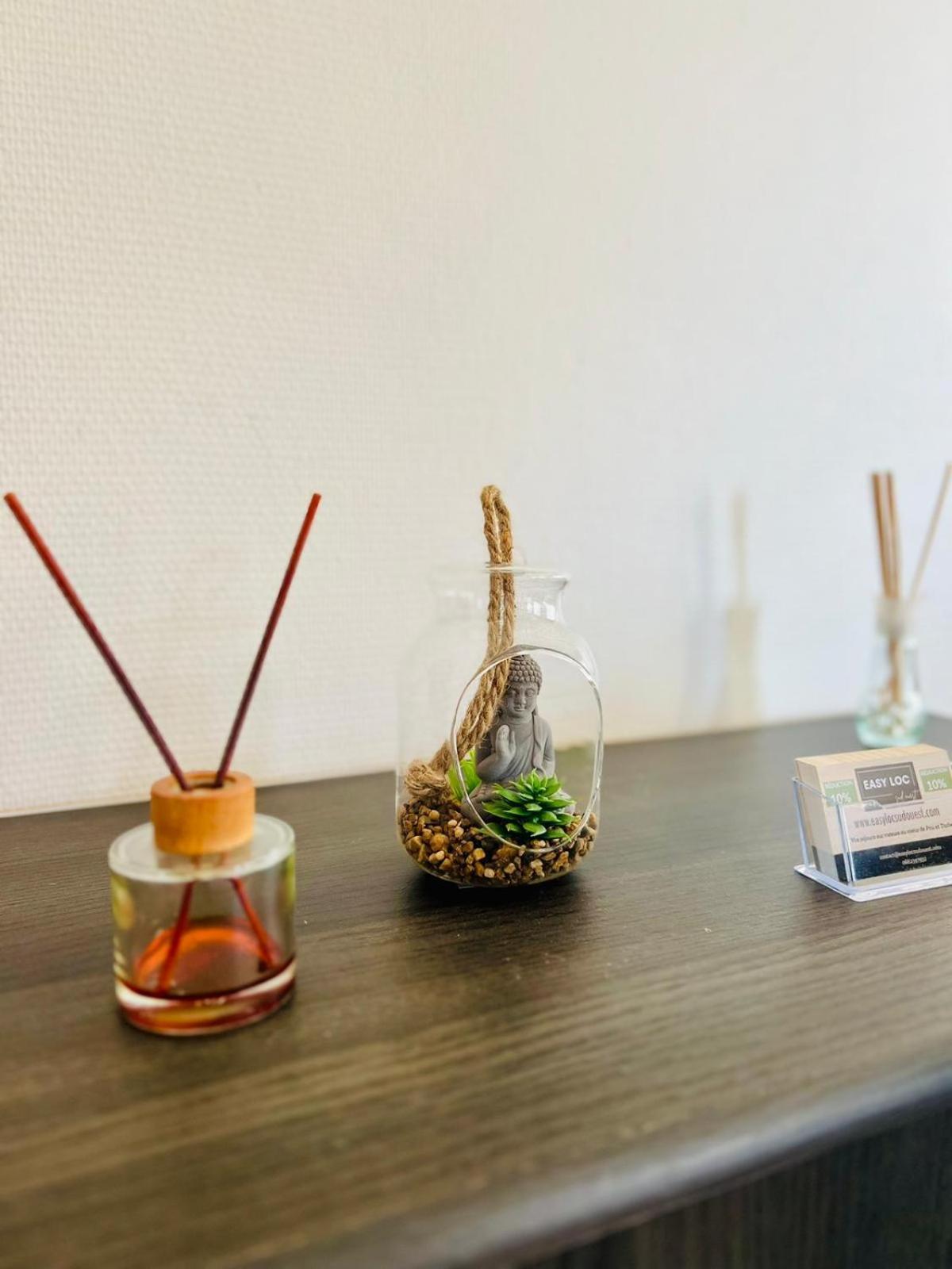 Le Voltaire -2 Chambres- 70M2- Hypercentre-Parking-Wifi Fibre- Nouvelle Literie Tarbes Dış mekan fotoğraf