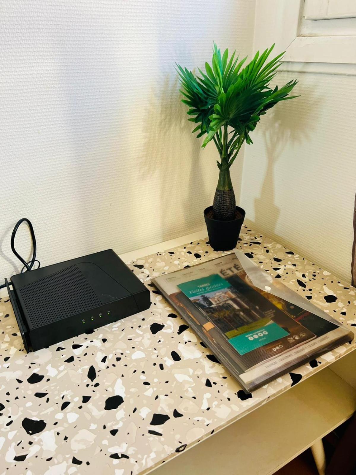Le Voltaire -2 Chambres- 70M2- Hypercentre-Parking-Wifi Fibre- Nouvelle Literie Tarbes Dış mekan fotoğraf